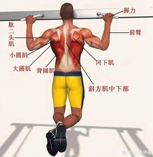 3d格斗游戏套路推荐